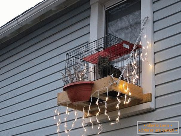 Voliere für eine Katze auf einer Fensterbank