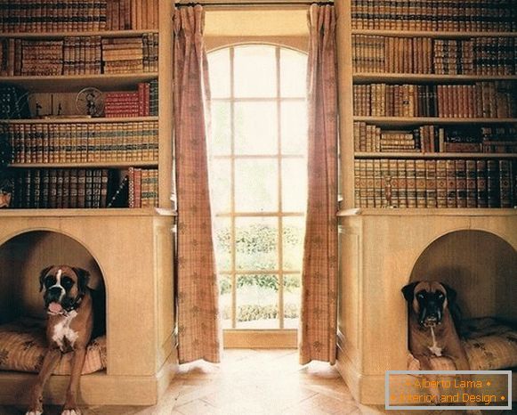 Kabinen für Hunde im Bücherregal