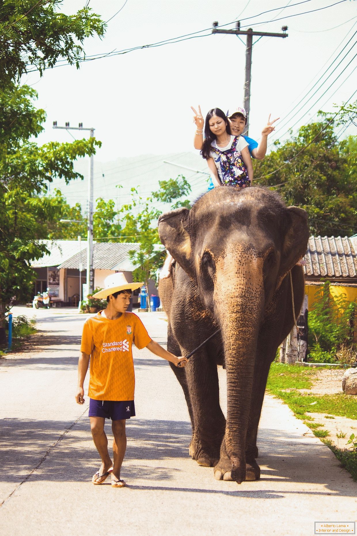 Auf einem Elefanten reisen