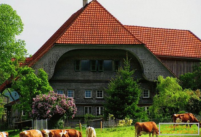 Alpines Landhaus