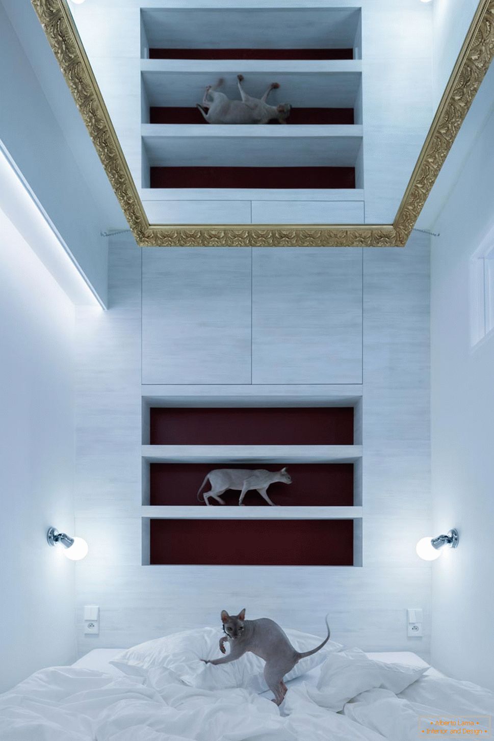 Modernes Design einer kleinen Wohnung - Katzen im Innenraum