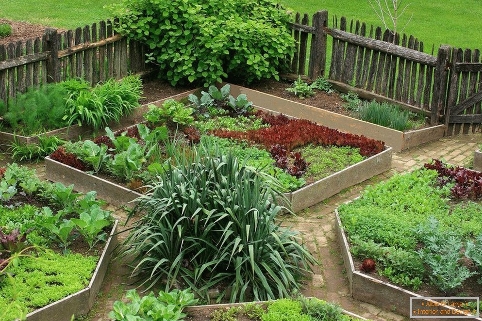 Standorte von Gemüse im Garten