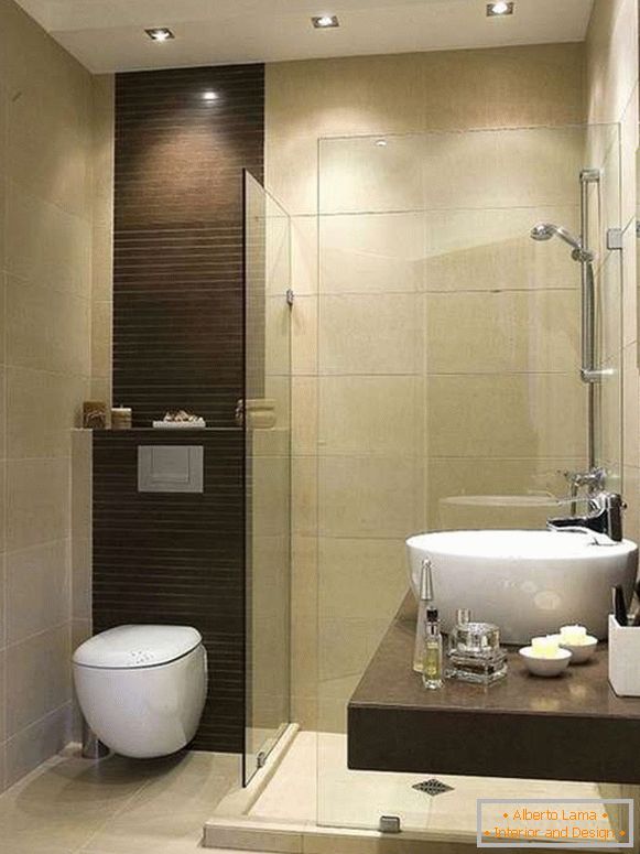 Glaszäune und Duschtüren auf den Fotos der Badezimmer