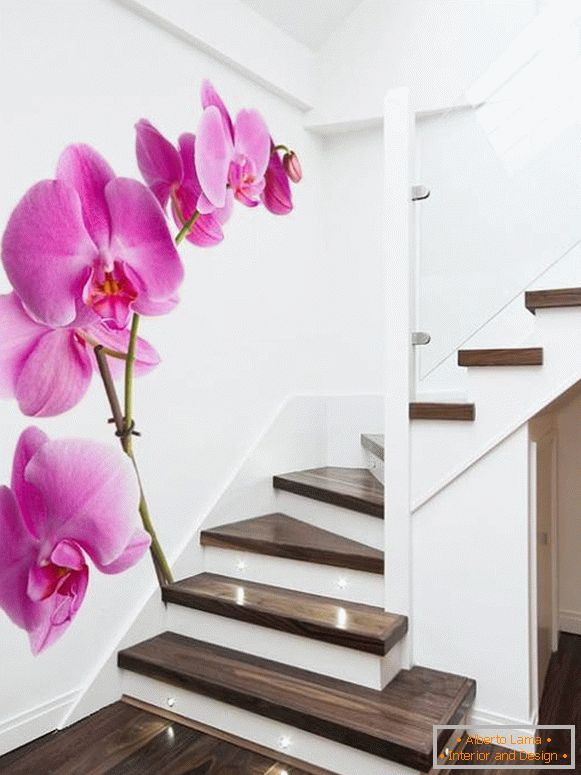 Fotos von Orchideen auf der Treppe