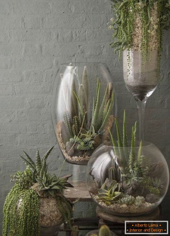 Pflanzen in großen Glasvasen