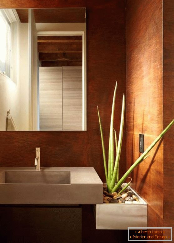 Aloe Vera in einem modernen Badezimmer