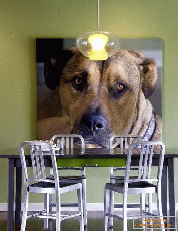 Foto des Hundes als Dekoration der Wand