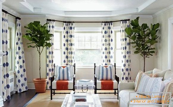 Weiße Vorhänge mit einem blauen Muster im Wohnzimmer