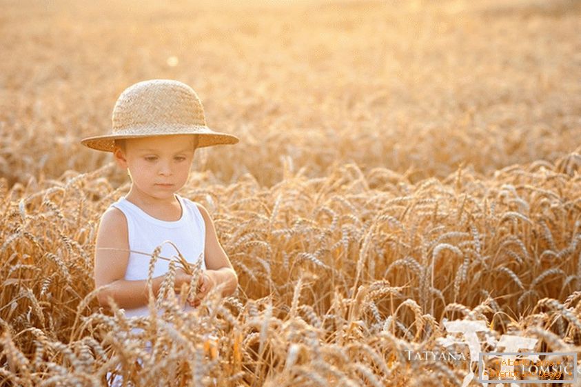 Ein Kind auf einem Weizengebiet