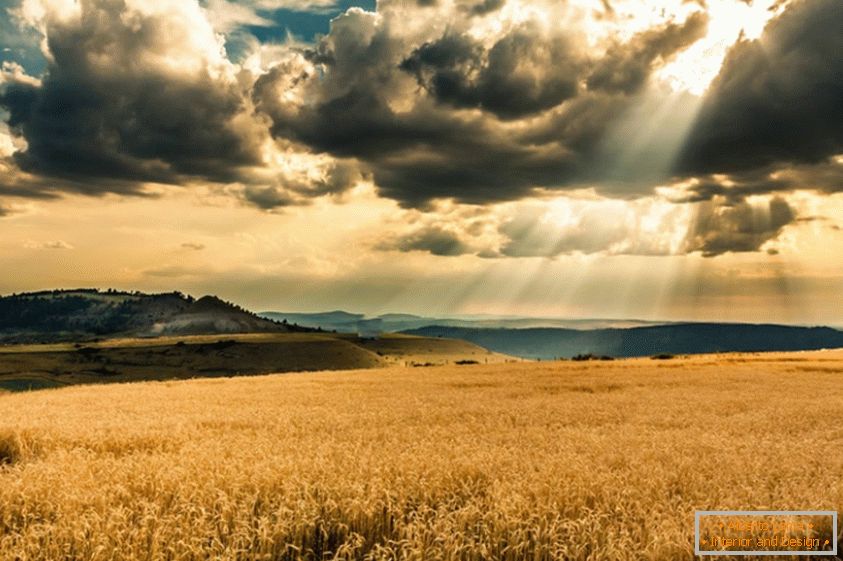 Die Sonne bahnt sich ihren Weg durch die Wolken, über das Weizenfeld